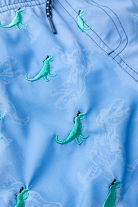 SC Boy Trunks Swimsuit - Shade Dino