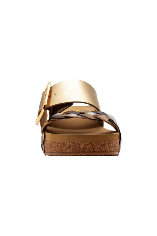 Volatile Morel - Gold