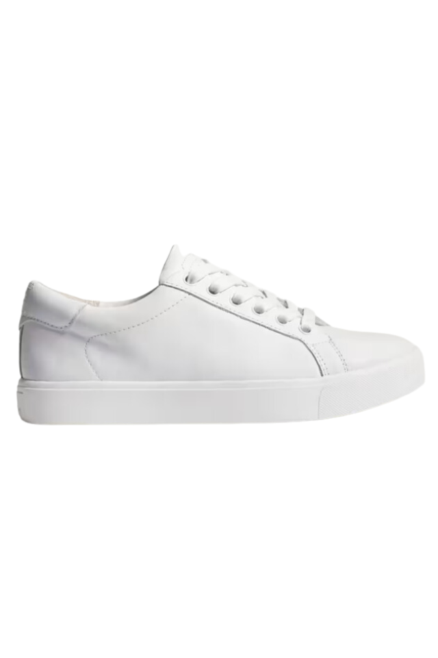 Sam edelman hot sale mens sneakers