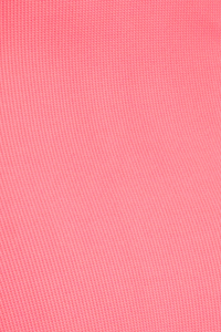 Bleu Shirred Hi Waisted - Bardot Blush