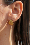 Ellie Vail Libby Shell Drop Earring - Gold