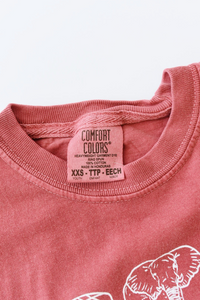 Studio Smocks Elephant Football T-Shirt