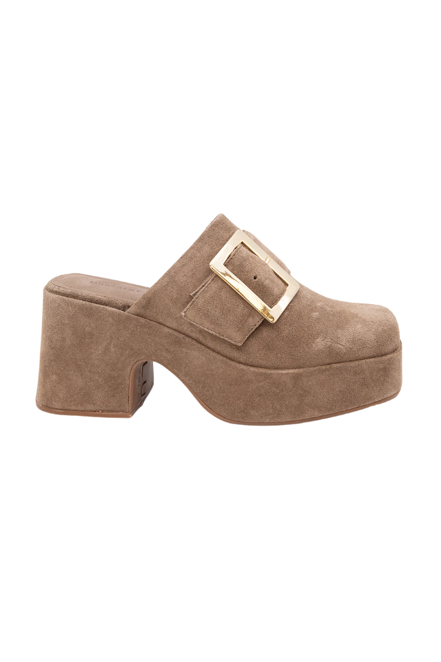 Brown suede clog shoe with a gold buckle on a white background. fall, buckle, autumn, suede, brown, chocolate