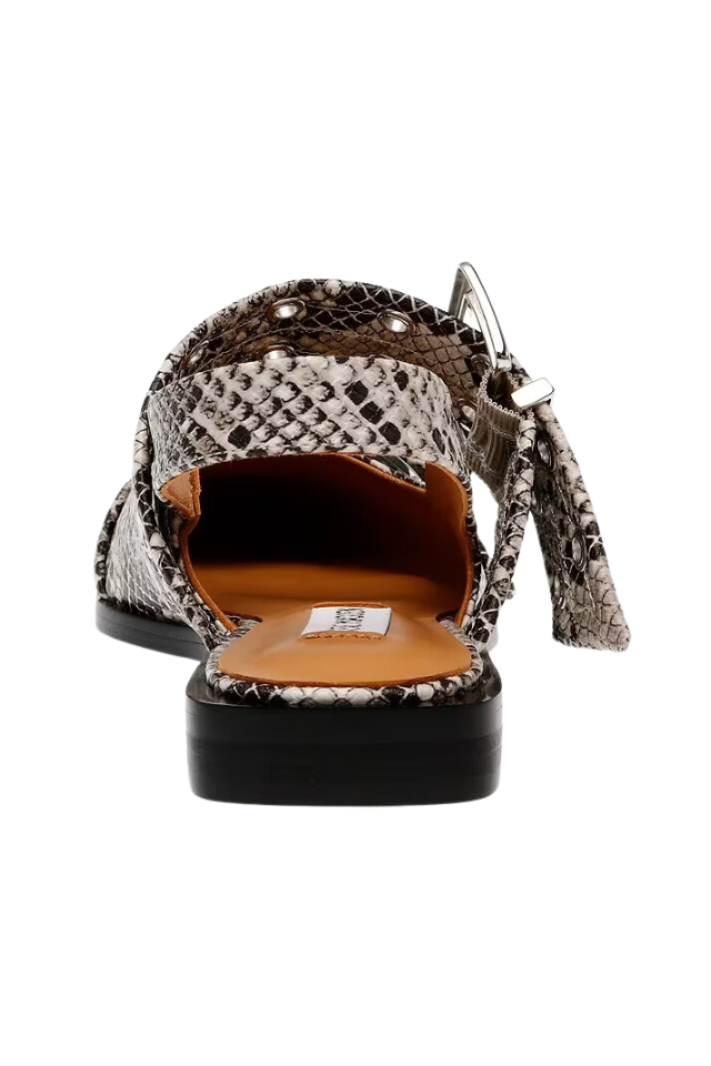 Steve Madden Graya - Snake