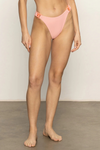 Sanctuary Swim High Leg Hipster - Cherry Blossom