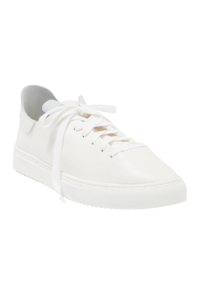 Sam Edelman Poppy Sneaker-White