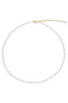 Ellie Vail Sheena Dainty Pearl Choker Necklace - Gold